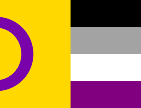 Intersex and Ace Flags