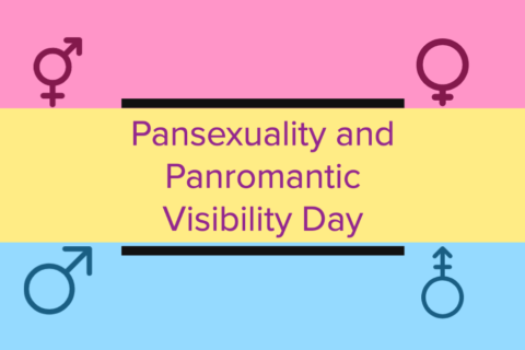 The pansexual flag is in the background. The words "Pansexuality and Panromantic Visibility Day" are in the center.