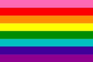 Original rainbow pride flag with 8 colors