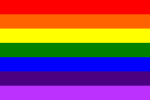 6 color pride flag